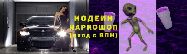 гидра Каменногорск