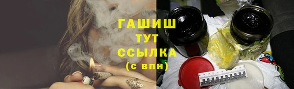 гидра Каменногорск