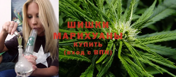 гидра Каменногорск