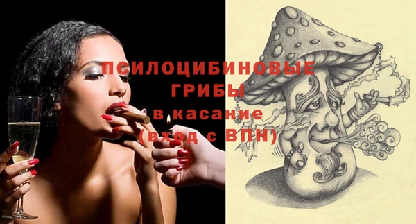 гидра Каменногорск