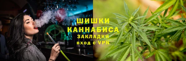 гидра Каменногорск