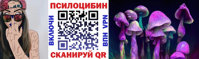 Псилоцибиновые грибы MAGIC MUSHROOMS  где купить наркоту  Певек 